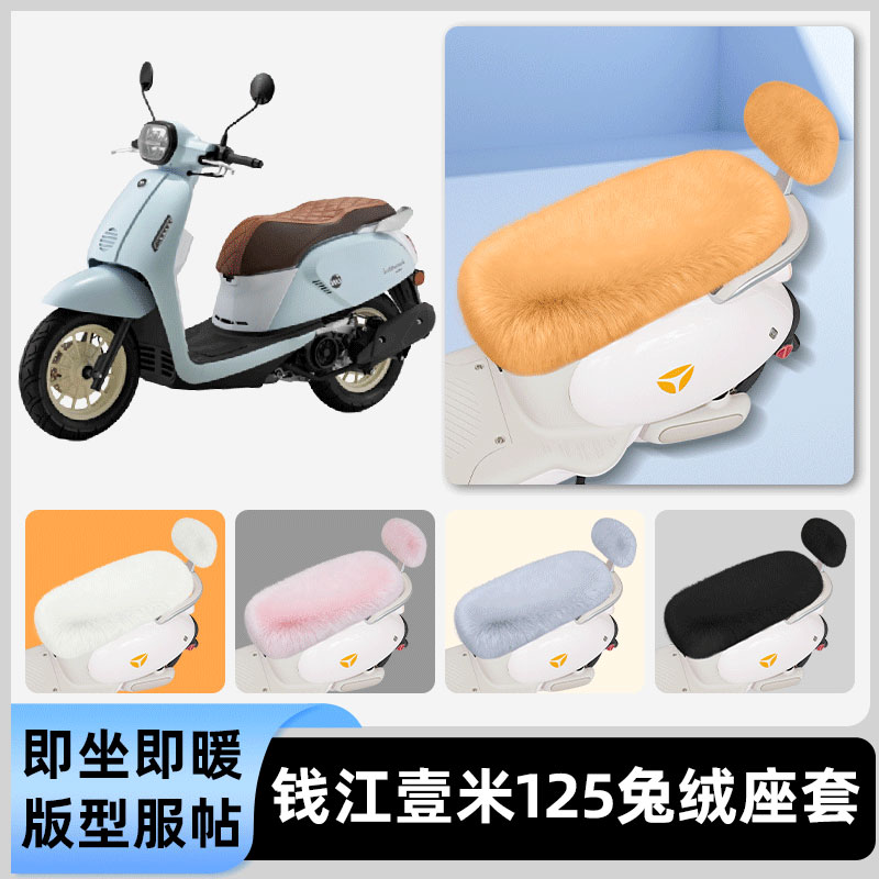 适用钱江壹米125电瓶电动车冬座套坐垫套座位防雨防水防晒饰配件