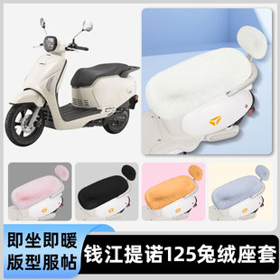 适用钱江提诺125电瓶电动车冬座套坐垫套座位防雨防水防晒饰配件