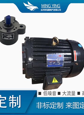CB-B6/B10/B4/B2.5齿轮泵液压油泵电机组370W/550W润滑油泵头总成