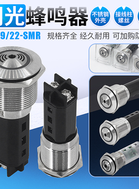 金属蜂鸣器 19mm 22mm不锈钢闪光报警器16mmLED声光报警器24v 12v