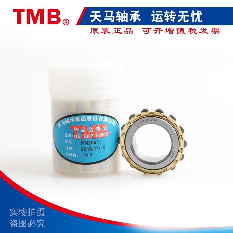TMB天马减速机偏心轴承RN205 206 207 219 222  307 308 309 312M