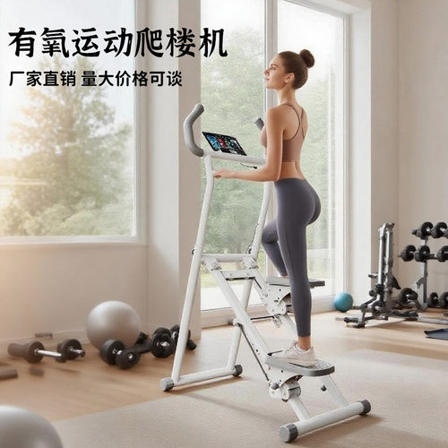 多功能家用静音爬楼踏步机