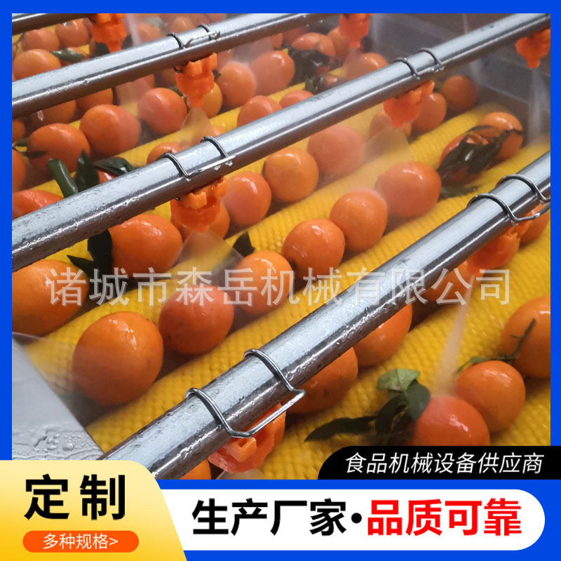 定制新会柑清洗选果机脐橙柑橘全自动洗果机陈皮柑毛辊清洗分级机,清洗/食品/商业设备,选果机/分选机,淘宝优惠券,粉丝福利购,淘宝优惠卷
