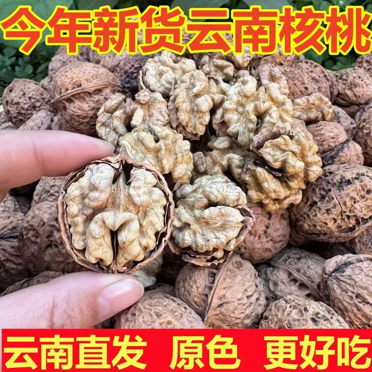 云南薄皮核桃新货原味生核桃孕妇儿童坚果零食干果新鲜核桃仁批发