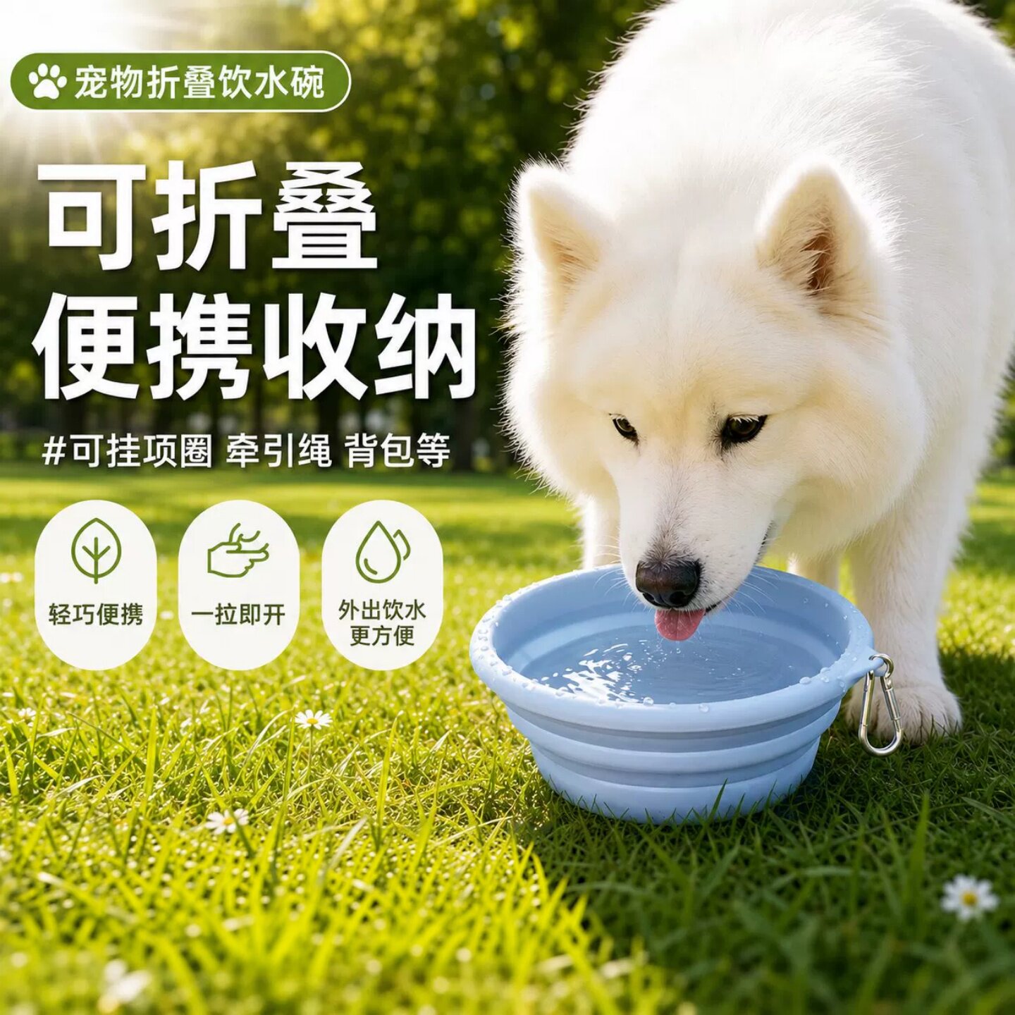 狗狗折叠碗宠物硅胶碗狗盆外出