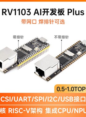 Luckfox Pico Mini幸狐RV1103微型Linux 人工智能开发板TYPEC