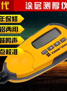涂层测厚仪器高精度漆膜测厚仪油漆镀锌测测厚仪北京时代TIME2500