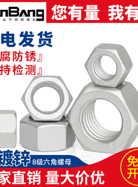 8级热镀锌六角螺母热浸锌螺帽扩孔螺母加大M6M10M16M20M30M48M64