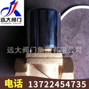 DN50 丝扣DC24V电磁阀AC220V控制阀DN15 河北远大阀门 黄铜常闭式