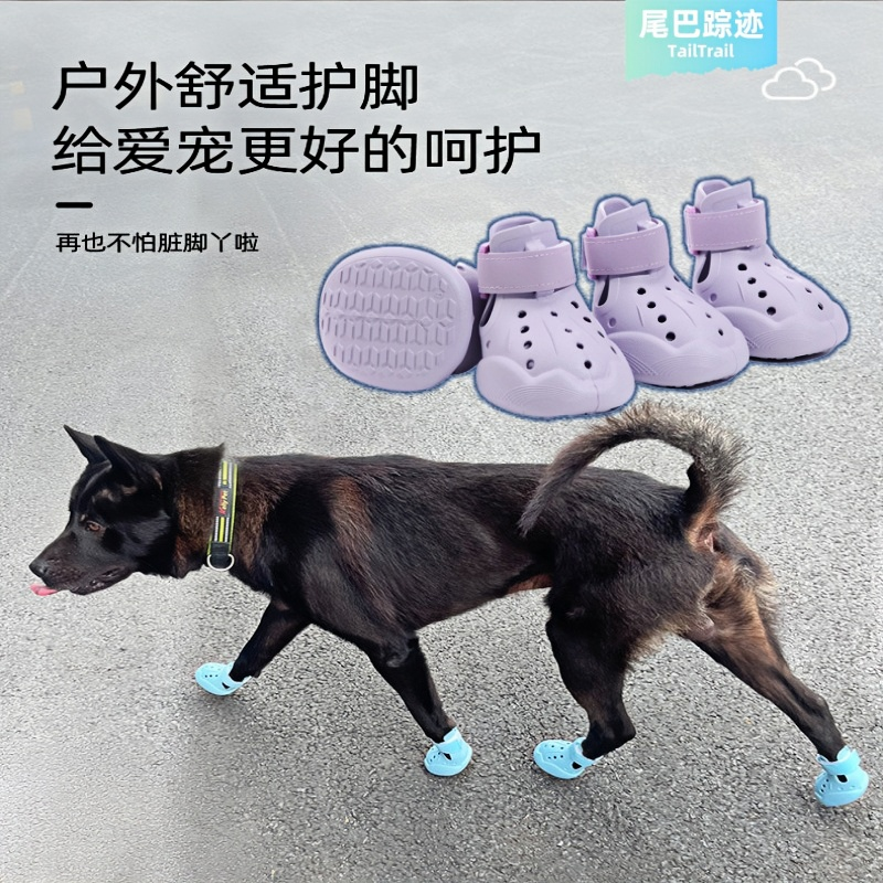 宠物洞洞鞋透气不掉脚凉鞋