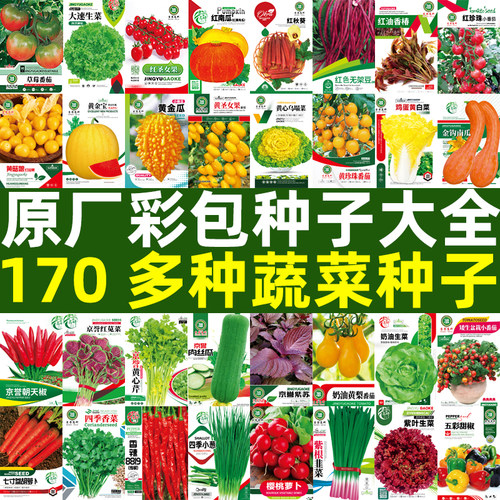 阳台菜园常见蔬菜种子大全