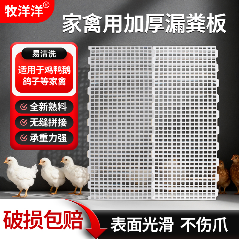 鸡用漏粪板塑料鸭鹅鸡粪漏粪板