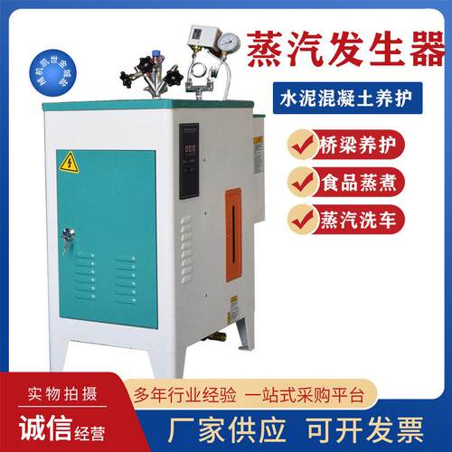 蒸汽发生器商用小型工业用蒸汽锅炉混凝土桥梁养护酿酒蒸煮电锅炉