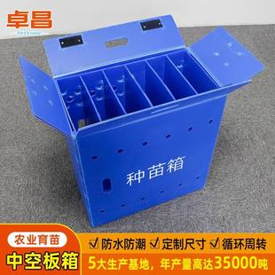 农业育苗透气折叠防水中空板周转箱种苗箱 厂家直供中空板周转箱