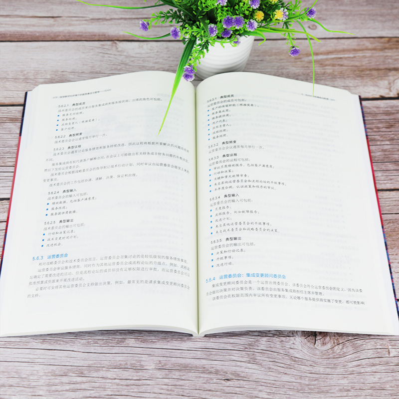 正版新书 全球数字化环境下的服务集成与管理 SIAM 《英》 清华大学