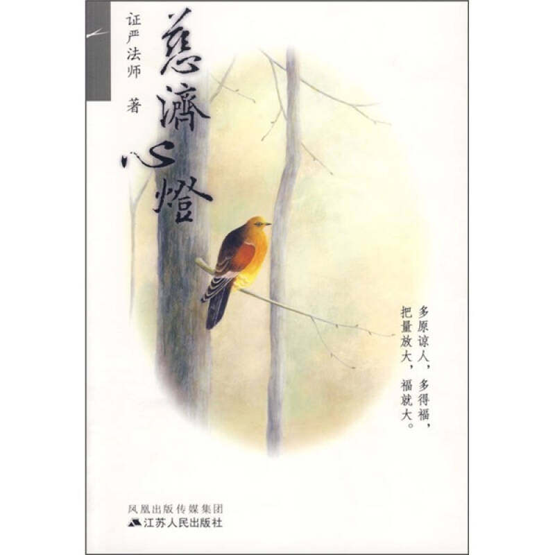 正版新书 慈济心灯 严法师 江苏人民出版社