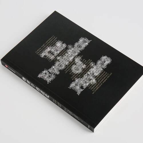 正版新书 物理学的进化 (美)阿尔伯特·爱因斯坦(Albert Einstein),(波)利奥波德·英费尔德(Leopold Infeld) 著 周肇威 译