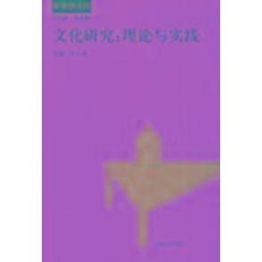 正版新书 文化研究(理论与实践) 金元浦 金惠敏 河南大学出版社