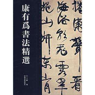 正版新书 康有为书法精选 白立献 河南美术出版社