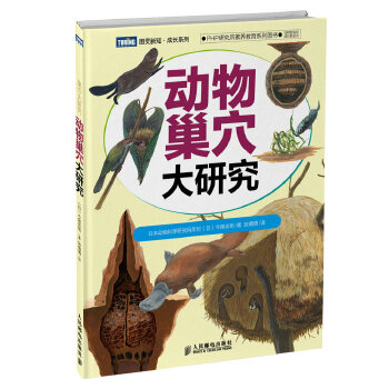 正版新书 动物巢穴大研究 今泉忠明 人民邮电出版社