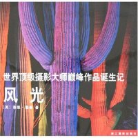 正版新书 顶摄影大师作品诞生记-风光 (英)泰里·霍普 浙江摄影出版社