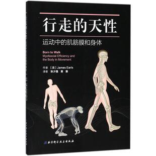 天：运动中 行走 肌筋膜和身体 詹姆斯·厄尔斯 社 正版 北京科学技术出版 新书