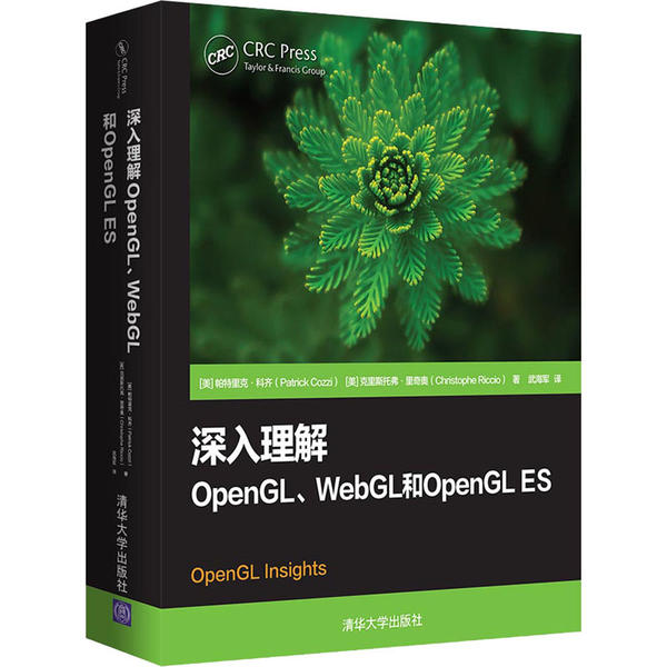 正版新书 深入理解OpenGL、WebGL和OpenGL ES 帕特里克·科齐 清华大学出版社