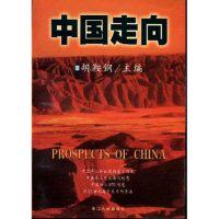 正版图书 中国走向 胡鞍钢 浙江人民出版社