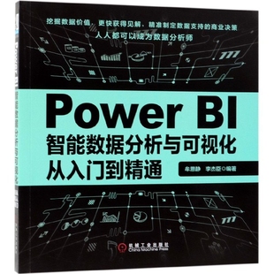 新书 李杰臣 Power 牟恩静 机械工业 BI智能数据分析与可视化从入门到精通 正版