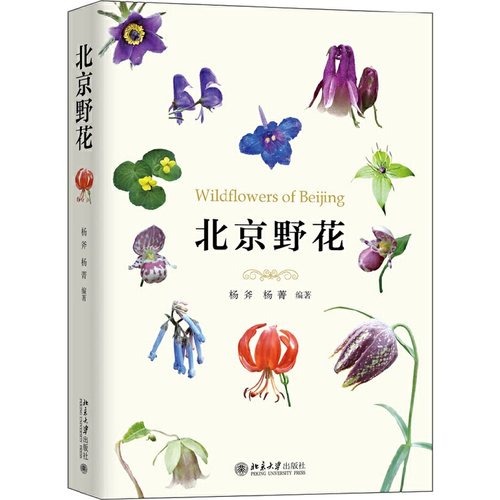 正版新书 北京野花 杨斧,杨菁 北京大学出版社