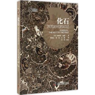 正版新书 化石：洪荒时代的印记 理查德·福提 中国科学技术出版社