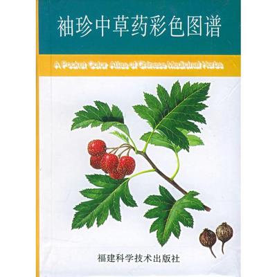 正版新书 袖珍草彩色图谱 华碧春 陈小峰 华碧春 福建科学技术出版社