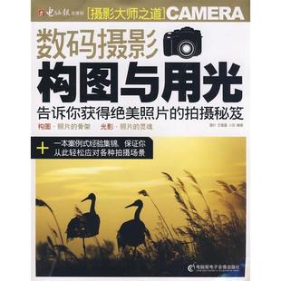 摄影构图与用光 附光盘 电脑报电子音像出版 新书 社 小灰 数码 王鹿童 正版 墨叶