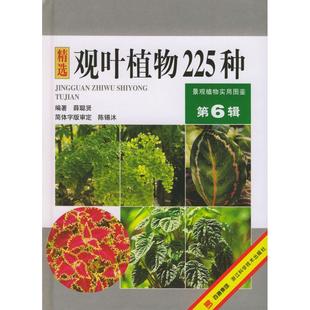 第6辑 观叶植物225种 ——景观植物实用图鉴 薛聪贤 社 正版 浙江科学技术出版 新书