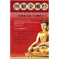 正版新书 图解金刚经 张宏实 海南出版社