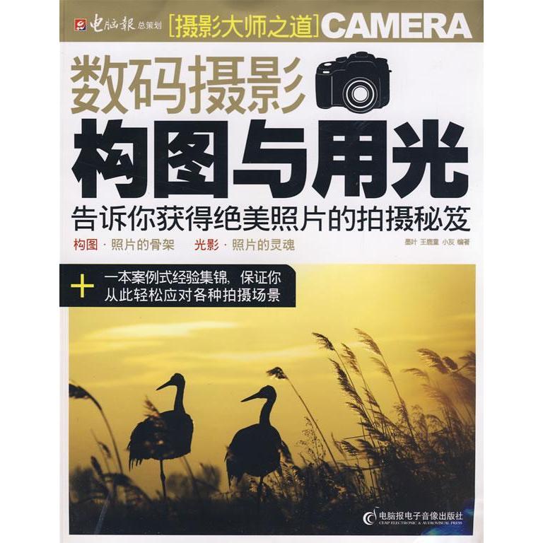 正版新书 数码摄影构图与用光(附光盘) 墨叶 王鹿童 小灰 电脑报电子音像出版社
