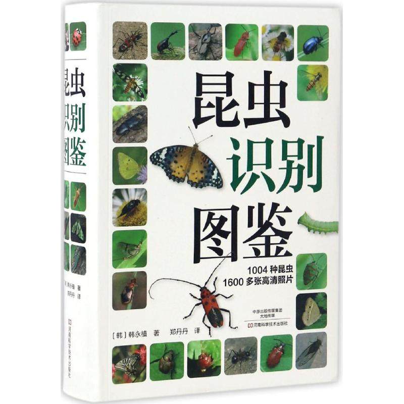 正版新书  昆虫识别图鉴 [The Field Picture Book of Insects] [韩] 韩永植 著，郑丹丹 译  河南科学技术出版社