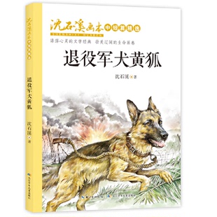正版新书 沈石溪画本·中短篇精选:退役军犬黄狐 沈石溪 著;起点插画 绘 长江少年儿童出版社有限公司