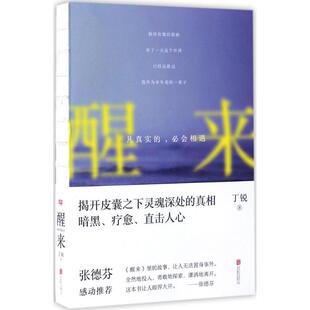 正版新书 醒来:凡真实的必会相遇 丁锐 北京联合出版公司