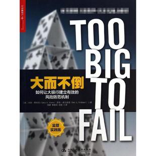 正版新书 大而不倒:如何让大银行建立有效的风险防范机制(监管实践版) 斯特恩 中国人民大学出版社