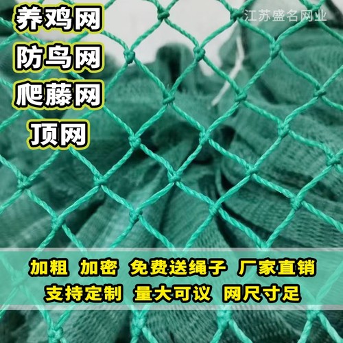 养鸡网围栏网拦鸡网养殖网家禽