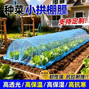 农用拱棚膜塑料薄膜蔬菜大棚种植膜透明种菜塑料纸保温防寒篷布