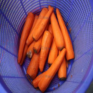 胡萝卜刮皮去皮g削皮752厂家直 广州GZ Carrot Peline Machi机ne