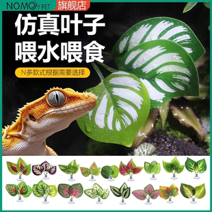爬宠饲养缸悬浮窝吸盘仿真植物躲避攀爬树栖造景睫角守宫树蛙叶片