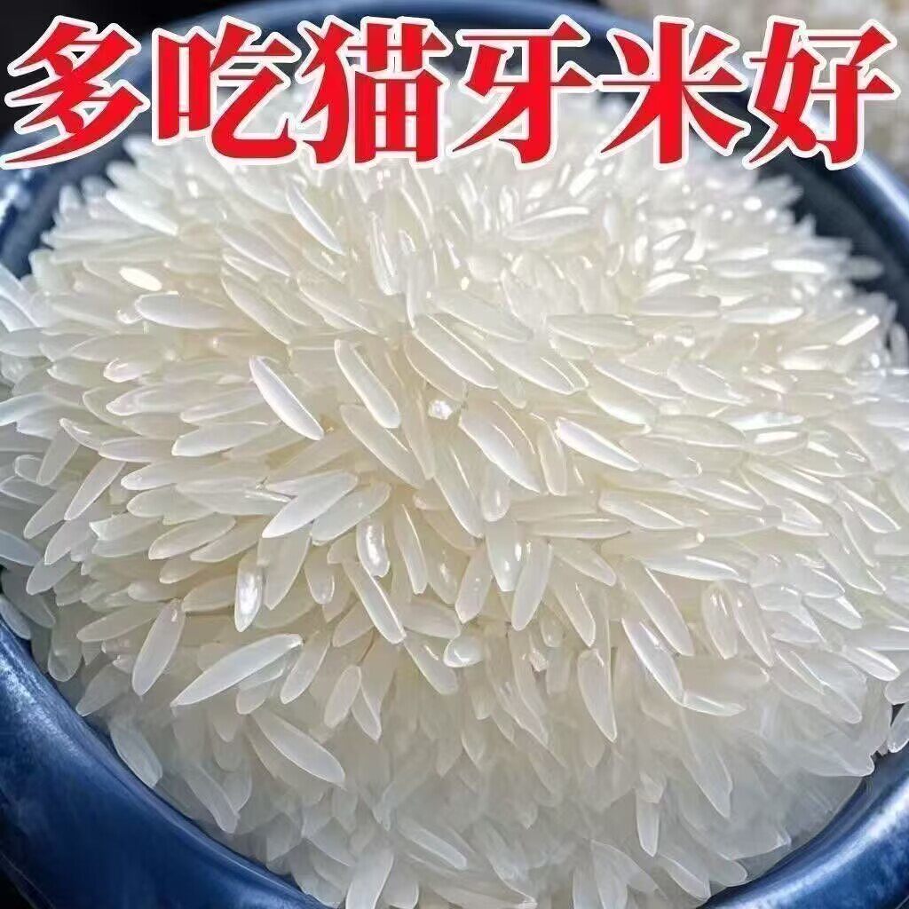 猫牙米煮饭蛋炒饭大米台灣香港澳門包郵走集运仓糖尿病人杂粮米五谷杂粮糖尿病糖尿病控糖主食无糖食品零食大全糖尿病人食品粗粮