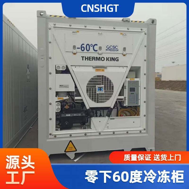 供应全新零下60度冷冻集装箱 6米12移动 库蔬菜水果保鲜库租赁出