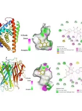 分子对接方法：autodock薛定谔 moe 金属离子.供价，柔性分子对接