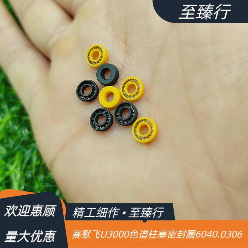 赛默飞U3000/DS/RS /BM液相色谱泵柱塞正反相密封垫圈60400306