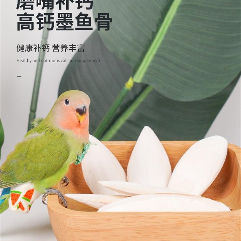 鹦鹉用品墨鱼骨补钙磨牙虎皮玄凤牡丹乌龟食物磨嘴饲料鸟粮