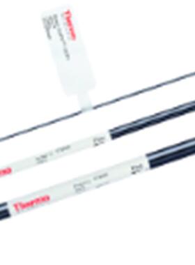 色谱柱062885AS19阴离子分析柱,赛默飞Dionex戴安4X250MM